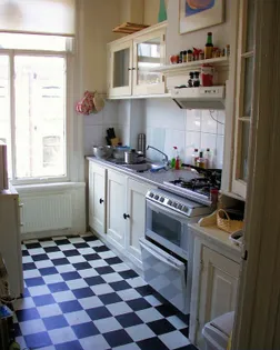 One bedrooms for rent Plantage Badlaan Amsterdam - Image 2