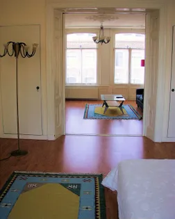 One bedrooms for rent Plantage Badlaan Amsterdam - Image 3