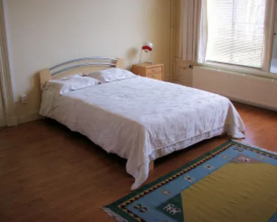 One bedrooms for rent Plantage Badlaan Amsterdam - Image 4