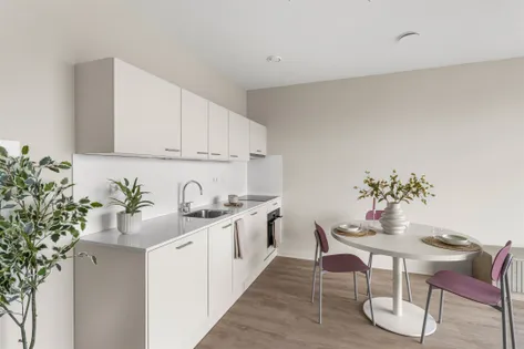 One bedrooms apartment for rent in Amsterdam - Image 3