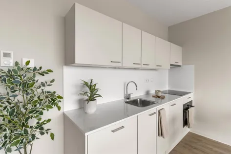 One bedrooms apartment for rent in Amsterdam - Image 4