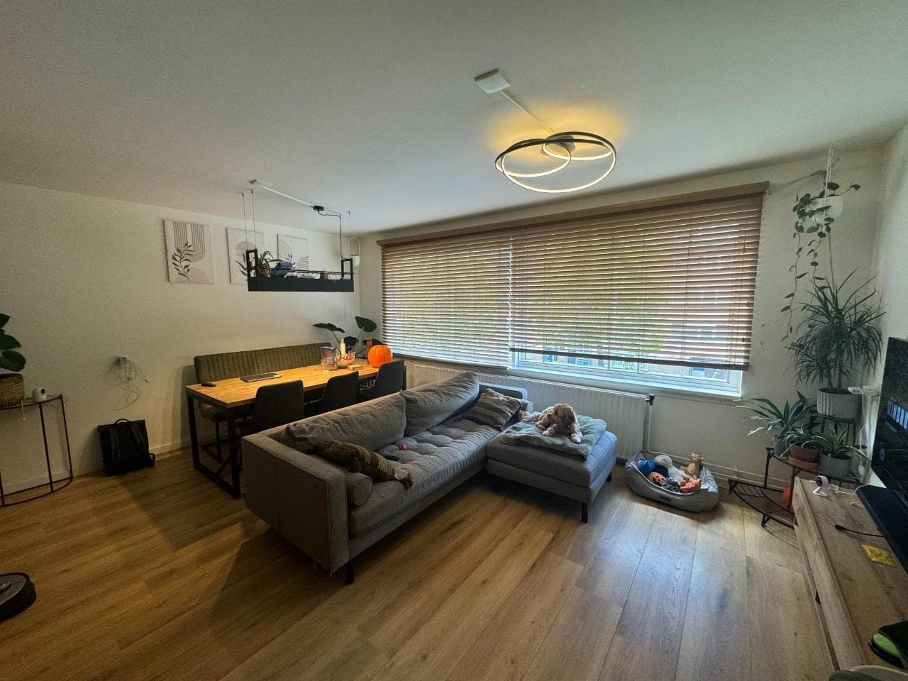 Private Rooms in a Shared Home - Image 3