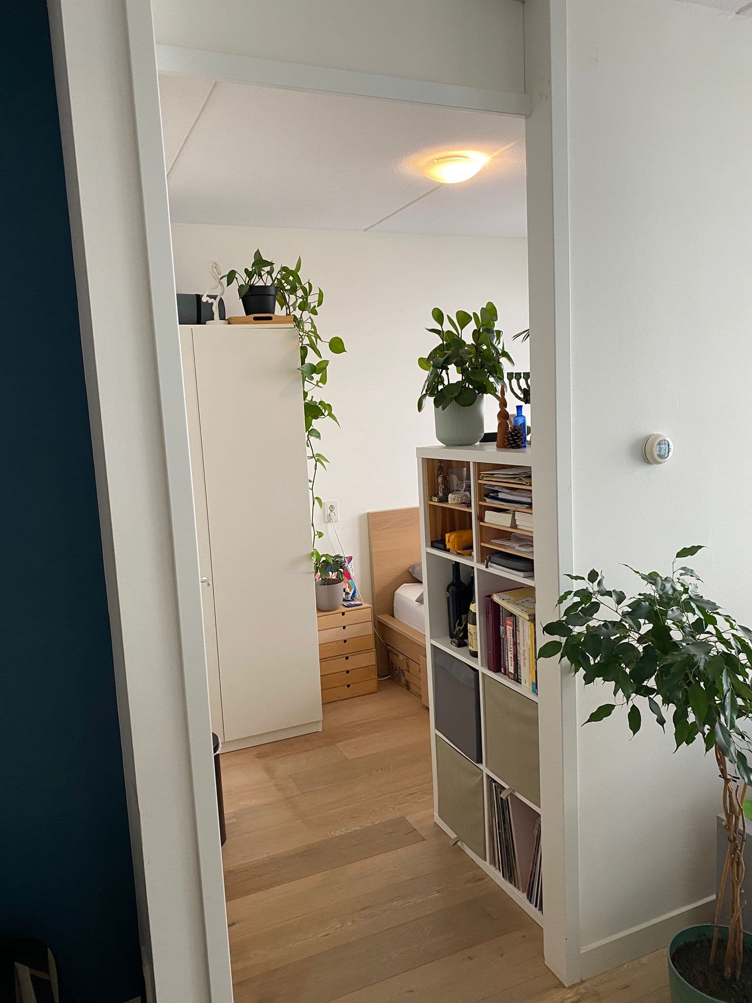 Private room August Allebeplein, Amsterdam - Image 2